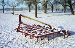 Auswinterung