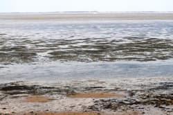 Ebbe und Flut