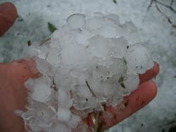 Hagel