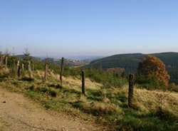 Strahlungswetterlage