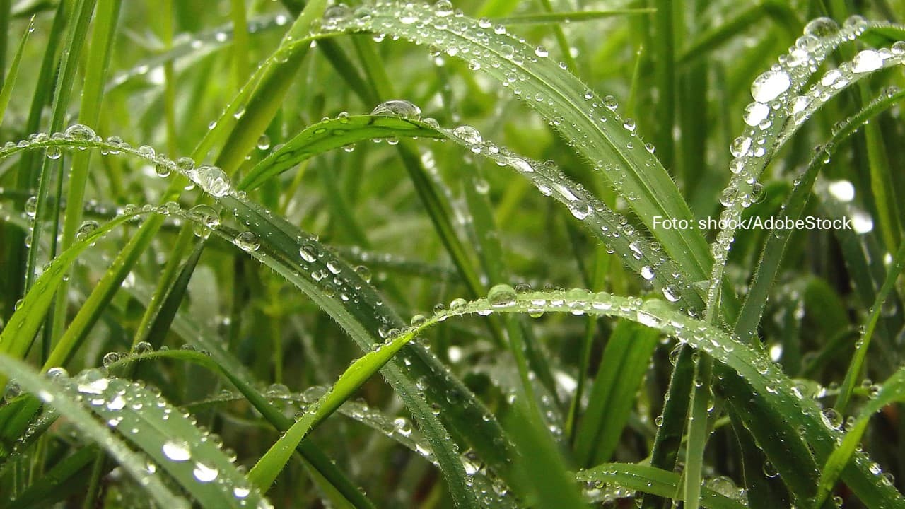Sommer oder Schauer? Dieses Wochenende teilt Deutschland in zwei Wetterzonen